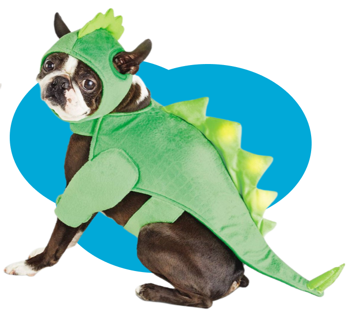 Cachorro com fantasia de dinossauro.
